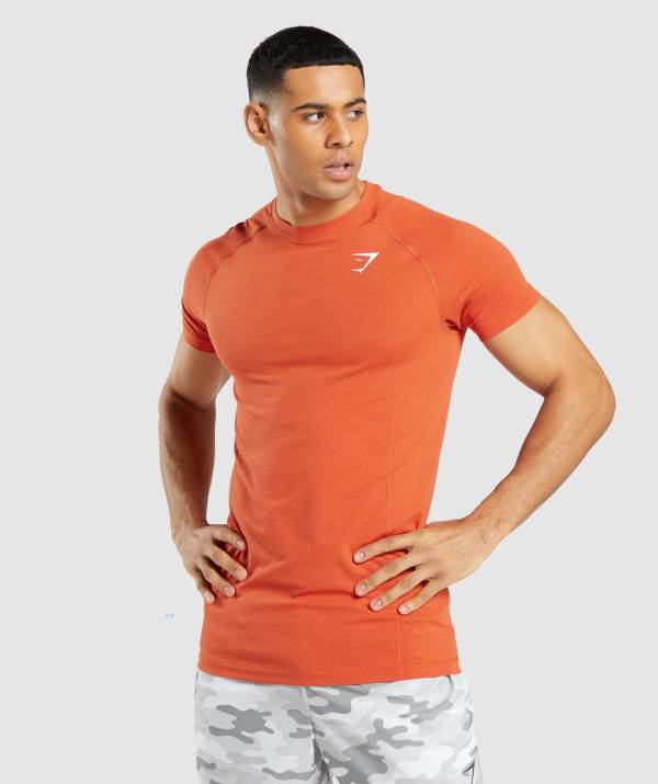 Panske Tricka Gymshark Vital Light Seamless Oranžové | LO9231587